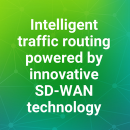 Intelligent traffic routing powered by innovative SD-WAN technology